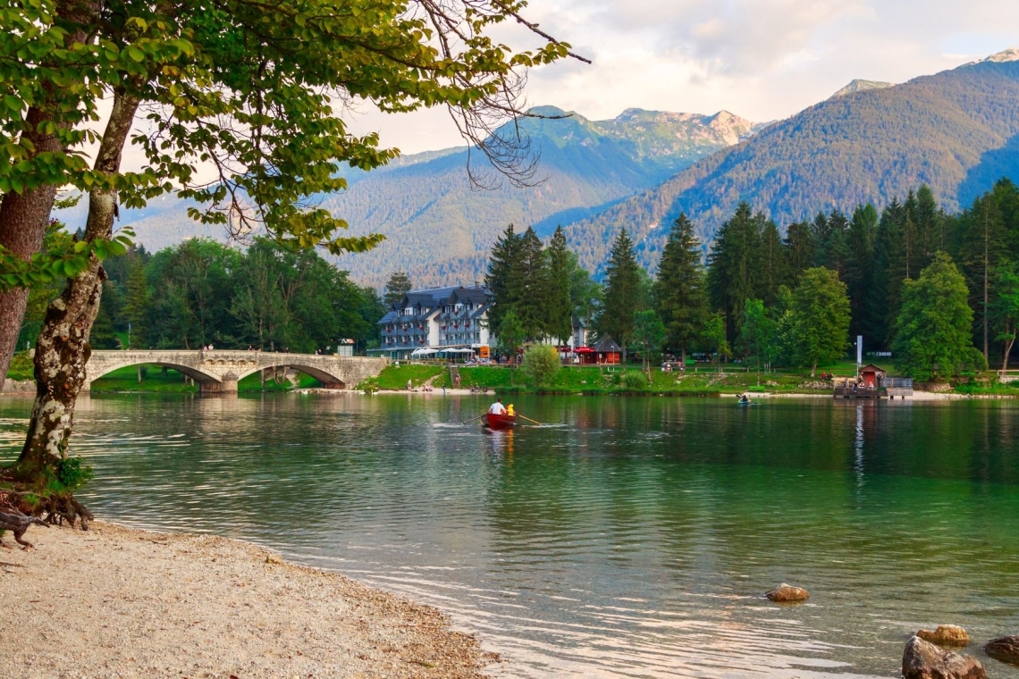Zastrupitve ljubljenčkov v Bohinju sprožile obsežne preiskave